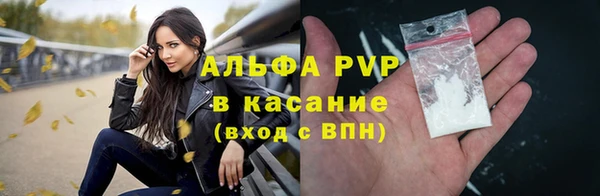 Альфа ПВП Верея