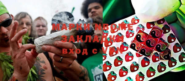 Альфа ПВП Верея