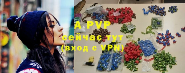 тгк Снежинск