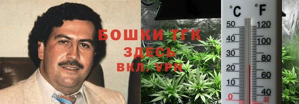 сатива Снежногорск