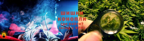 Альфа ПВП Верея