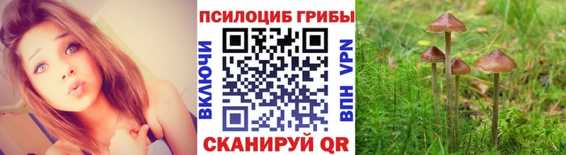 Псилоцибиновые грибы ЛСД  Крым 
